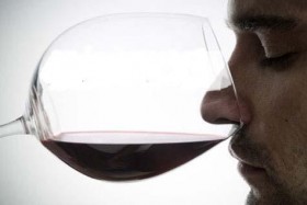 Benvinguts a la nostre Pàgina Web - Gourmet-Hub